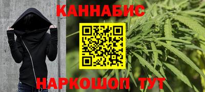 сатива Камышлов
