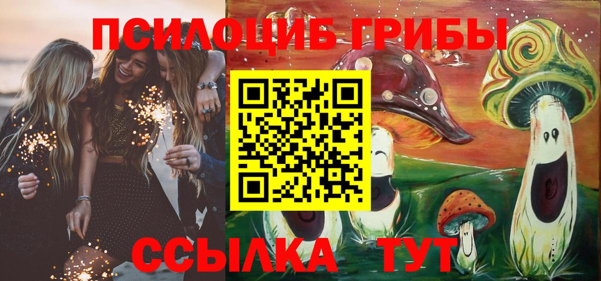Псилоцибиновые грибы мухоморы  Вход с VPN  Озёры 
